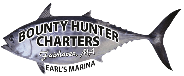 a close up of a fish