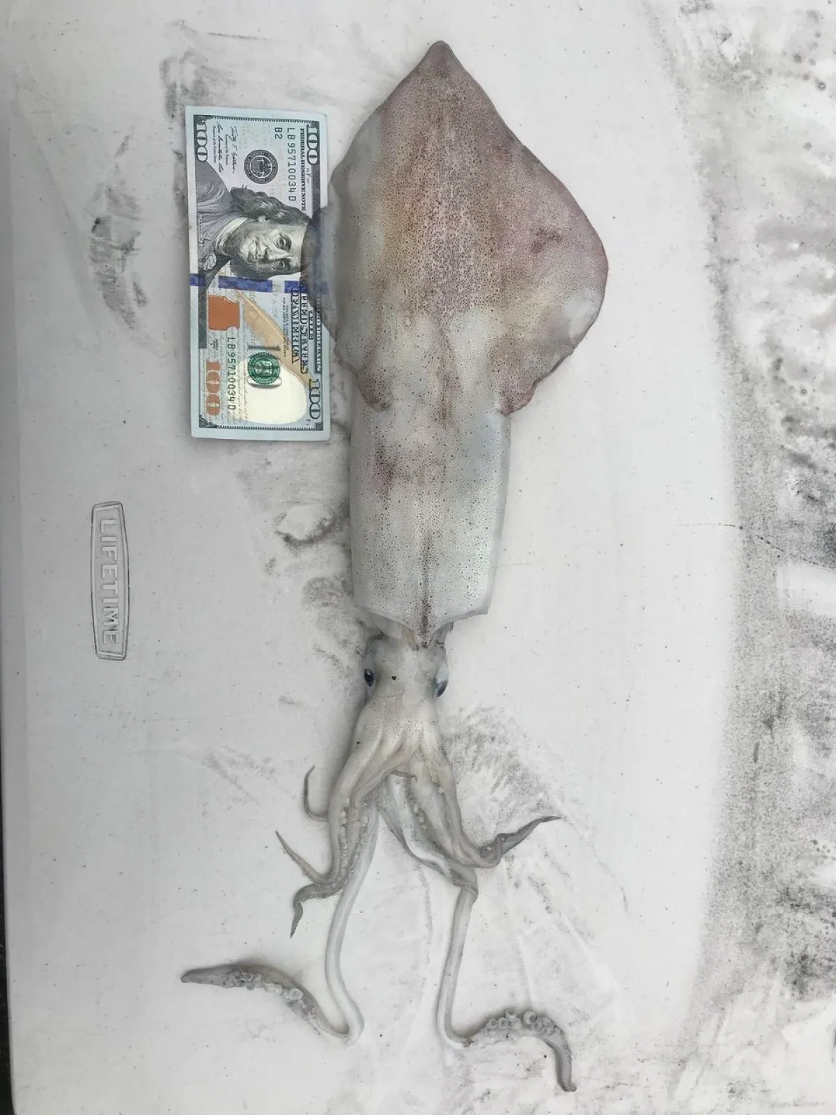 a drawing of a person