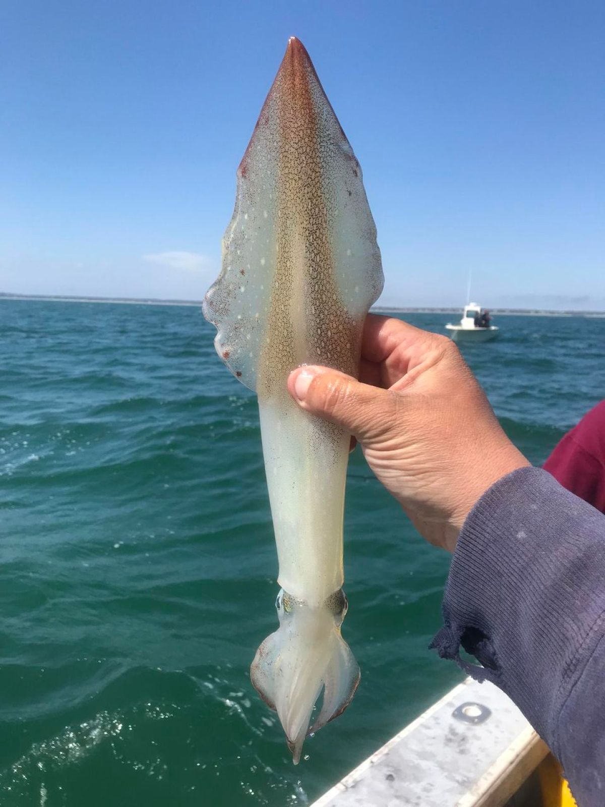 a man holding a fish in the water