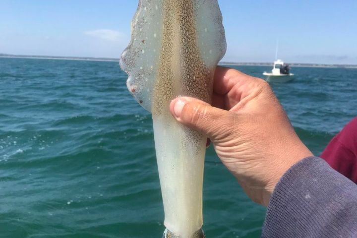 a man holding a fish in the water